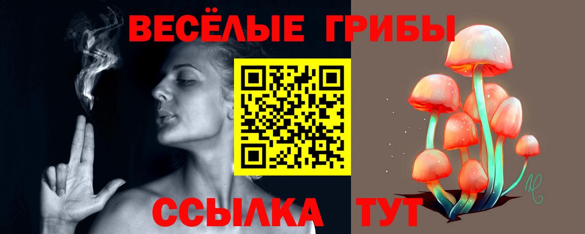 Коломна  Галлюциногенные грибы Psilocybe  Вход с VPN 